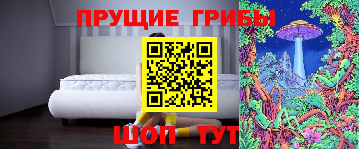 Галлюциногенные грибы Magic Shrooms  Псилоцибиновые грибы мицелий  Вход с VPN  Коряжма 