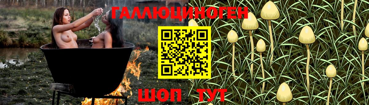 Псилоцибиновые грибы мухоморы Коряжма
